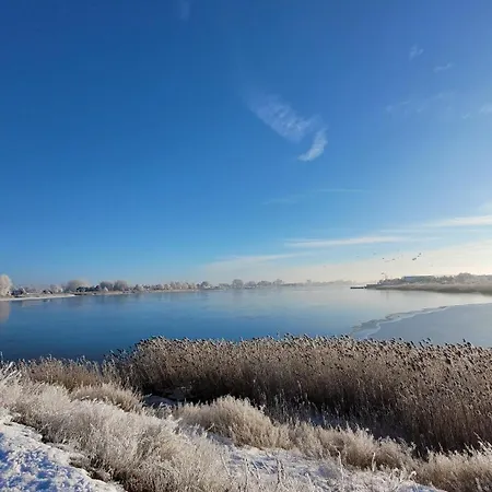 Iris W Neptun Na Wyspie Sobieszewskiej * Γκντανσκ