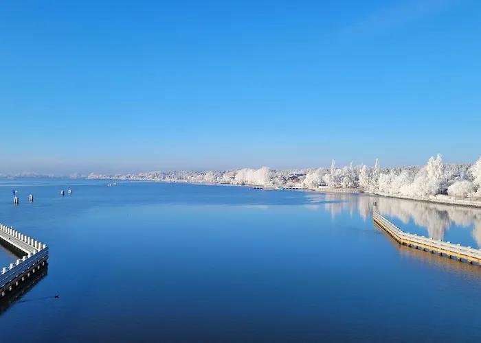 Iris W Neptun Na Wyspie Sobieszewskiej