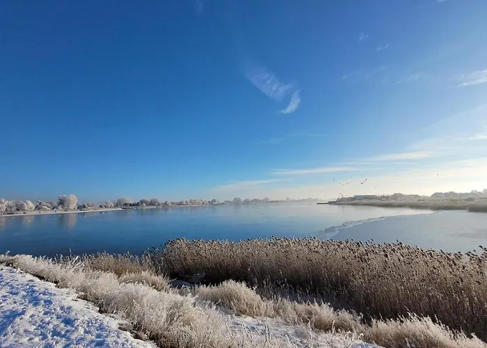 Iris W Neptun Na Wyspie Sobieszewskiej * Gdańsk